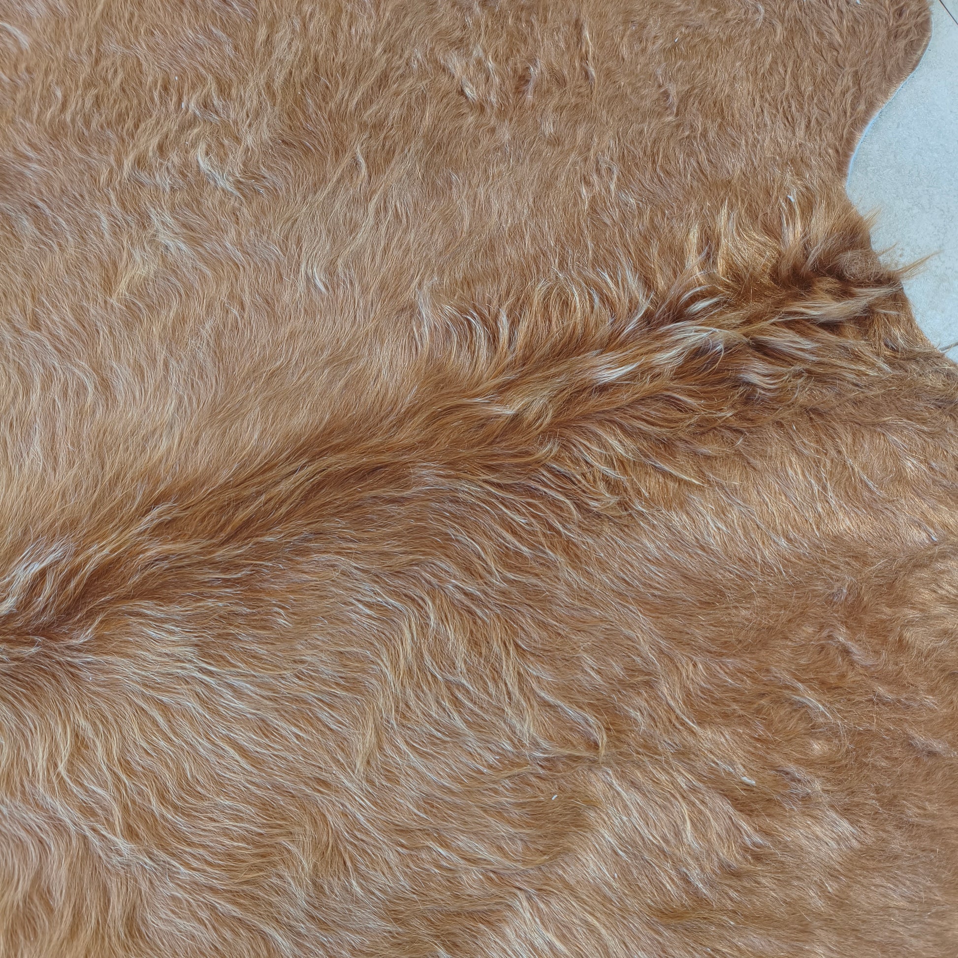 Tapete de couro de boi marrom gold BC991 — foto real 2