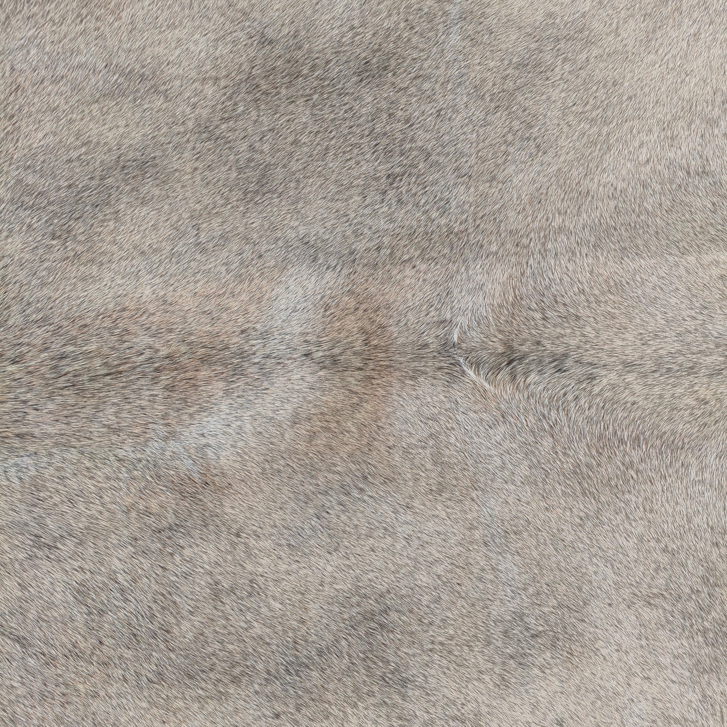 Tapete de couro de boi natural cinza e branco pelo curto macio GR1052 — foto real 2