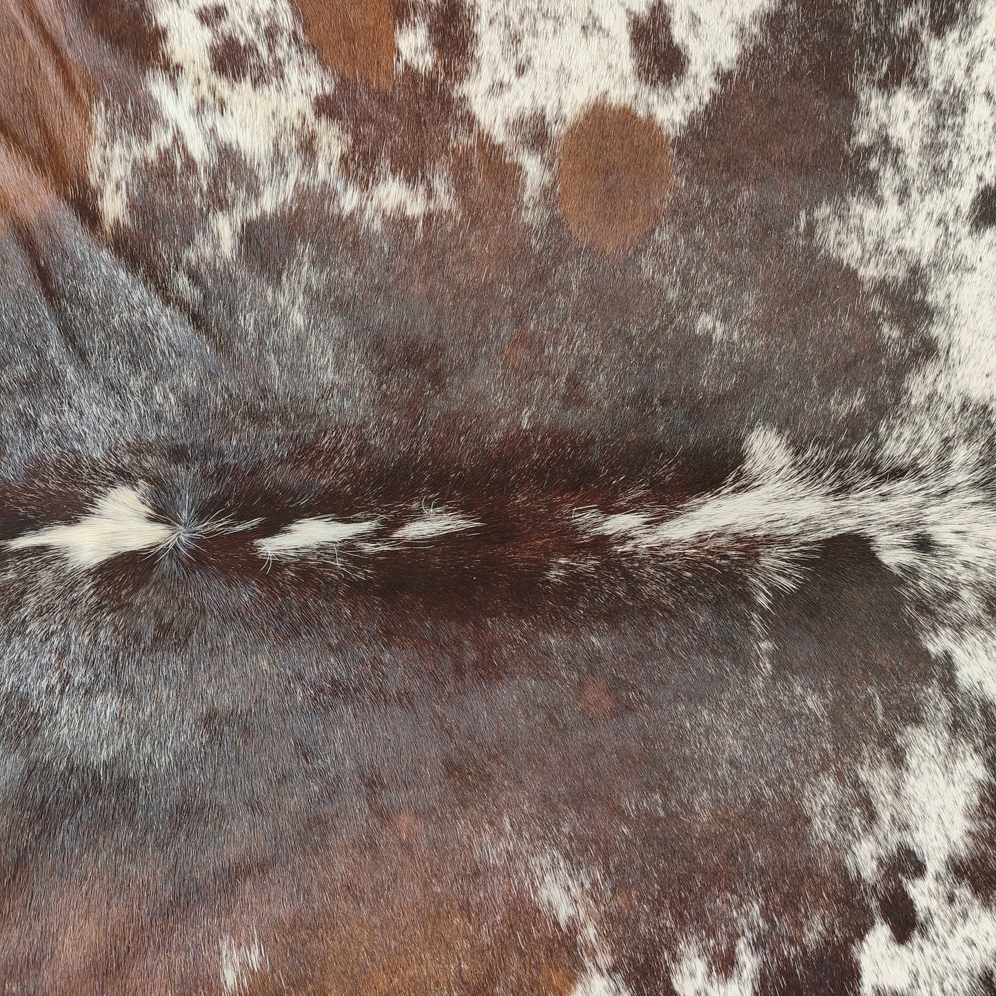 Tapete de couro de boi natural exótico tricolor EXC1073 — foto real 2