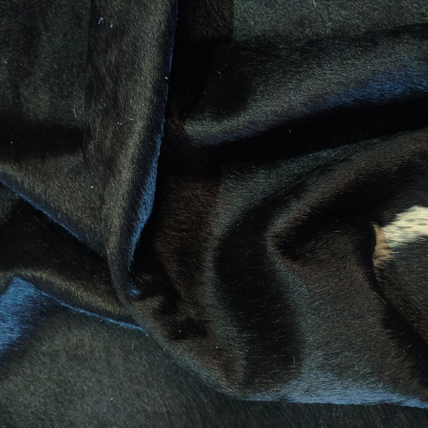 Tapete Bovino Natural Preto e Branco I P1083 I 2,24x2,25m Tamanho Grande