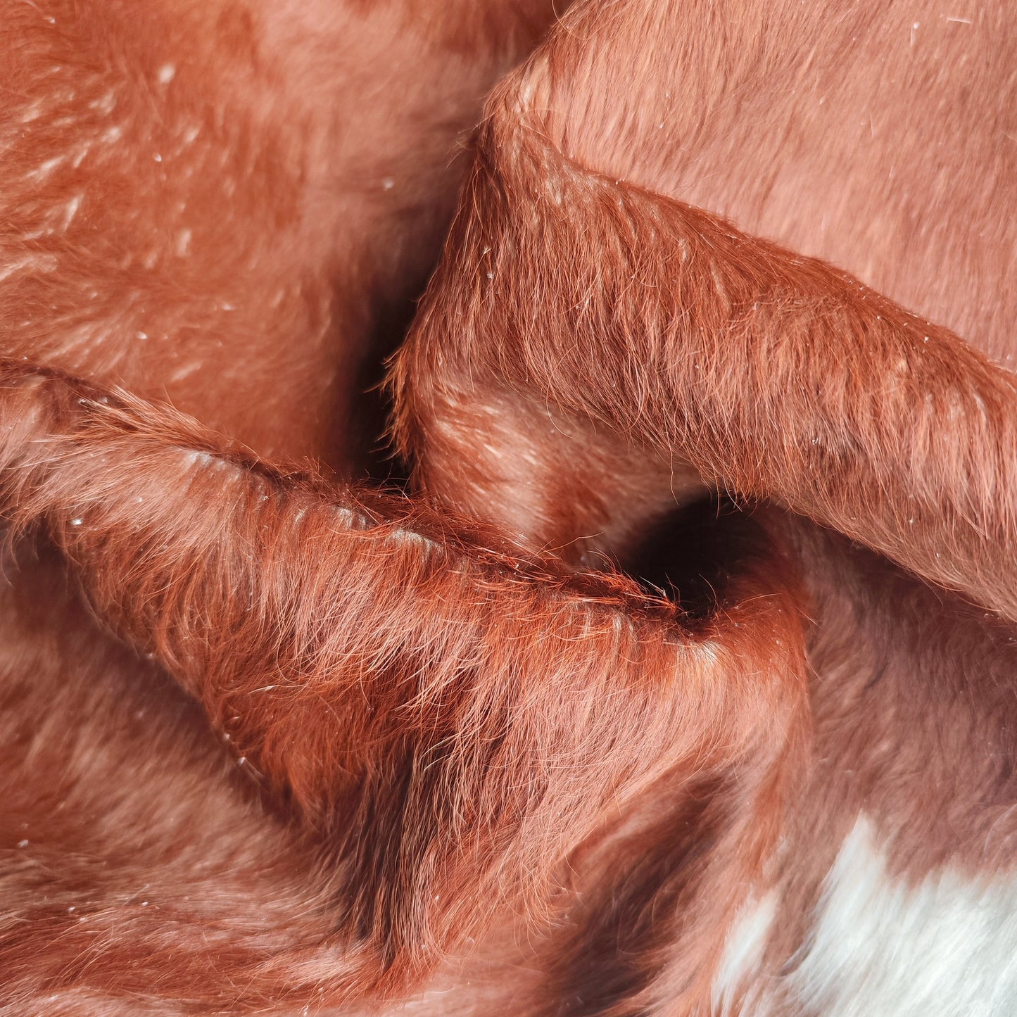 Detalhe da textura do tapete de couro legítimo natural sem cheiro