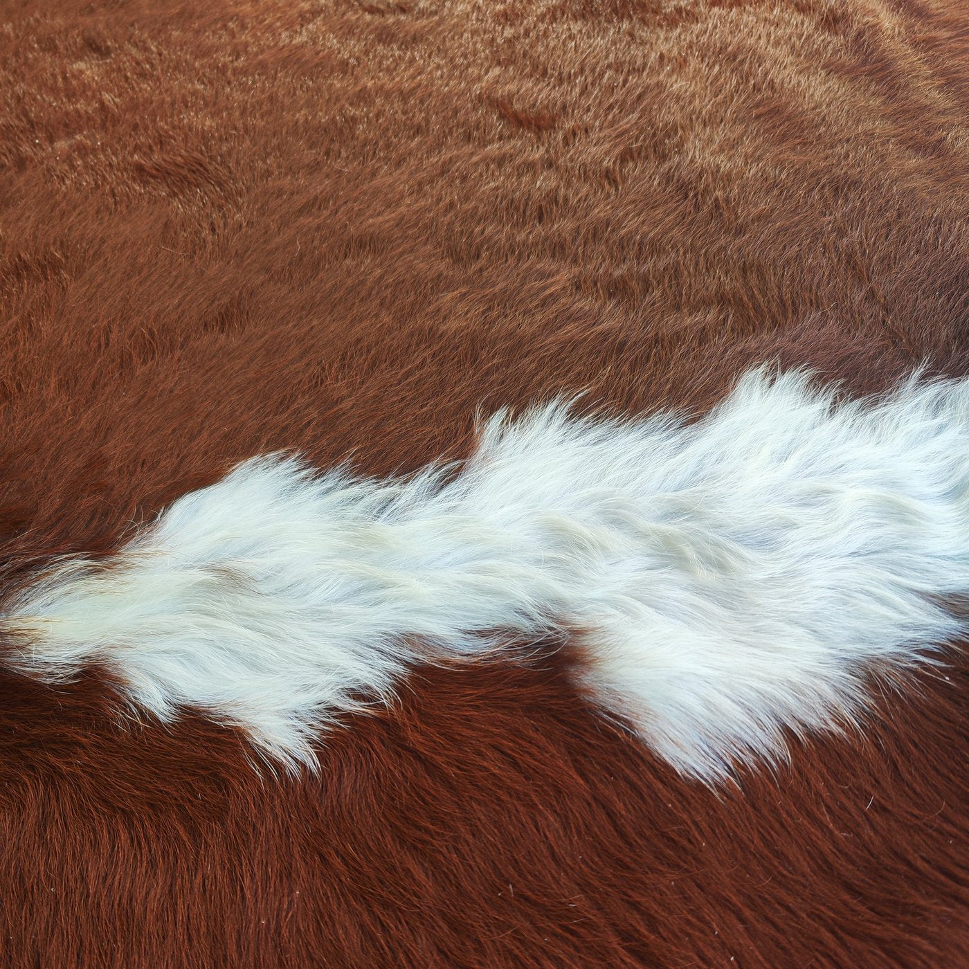 Tapete de couro de boi Vermelho e Branco Hereford VB849 — detalhe do acabamento artesanal