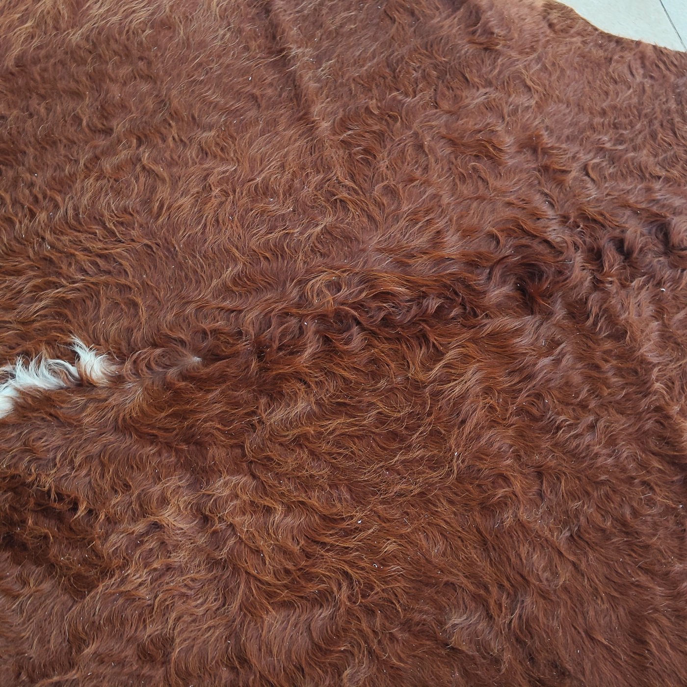 Tapete de pele de boi Vermelho e Branco Pelo Alto VB875 — close no padrão do couro